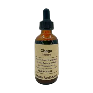 Sinclair Apothecary Chaga Mushroom Tincture for Immune Support Glass bottle of Sinclair Apothecary Chaga Tincture with natural kraft label and black dropper cap.