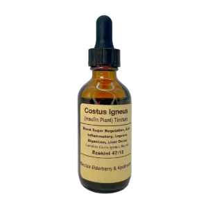 Amber tincture bottle labeled Costus Igneus for blood sugar regulation and liver detox, with biblical reference.