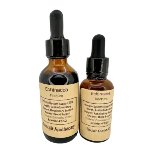 Two amber bottles of Sinclair Apothecary Echinacea Tincture with herbal label and dropper caps.